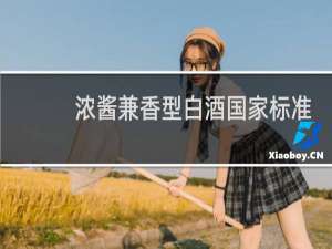 浓酱兼香型白酒国家标准代号