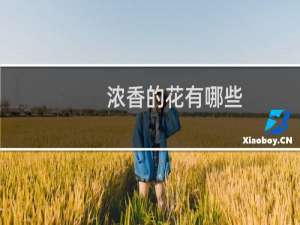 浓香的花有哪些