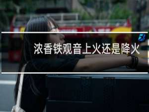 浓香铁观音上火还是降火