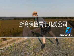 浙商保险属于几类公司