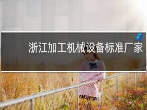 浙江加工机械设备标准厂家