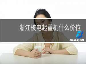 浙江核电起重机什么价位
