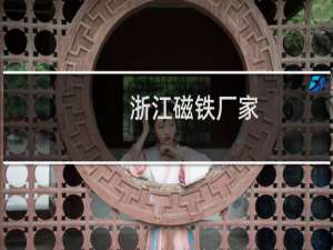 浙江磁铁厂家