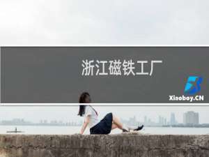 浙江磁铁工厂