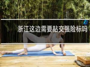 浙江这边需要贴交强险标吗
