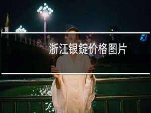 浙江银錠价格图片