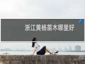 浙江黄杨苗木哪里好