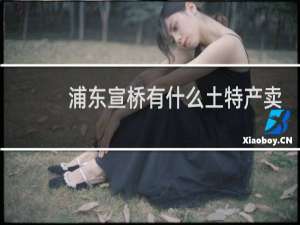 浦东宣桥有什么土特产卖