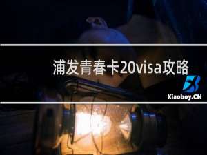 浦发青春卡 visa攻略