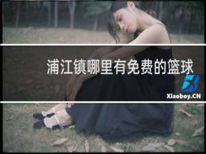 浦江镇哪里有免费的篮球场