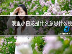 浪里小白龙是什么意思什么梗