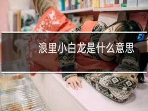 浪里小白龙是什么意思？是谁的绰号什么梗