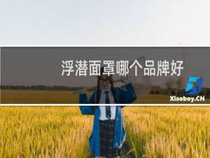 浮潜面罩哪个品牌好
