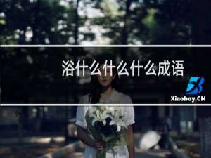 浴什么什么什么成语