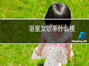 浴室女歌手什么梗
