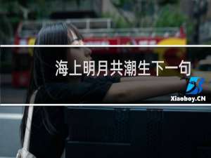 海上明月共潮生下一句
