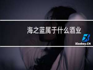 海之蓝属于什么酒业