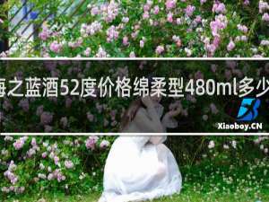 海之蓝酒52度价格绵柔型480ml多少钱一箱