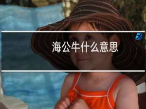 海公牛什么意思？什么梗