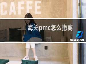 海关pmc怎么撤离