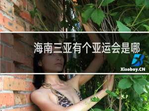 海南三亚有个亚运会是哪一年