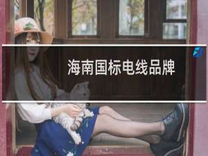 海南国标电线品牌
