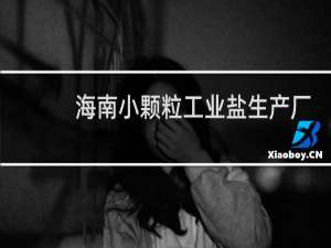 海南小颗粒工业盐生产厂家