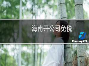 海南开公司免税