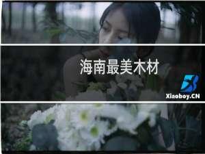 海南最美木材