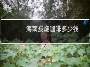 海南炭烧咖啡多少钱