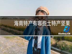 海南特产有哪些土特产坚果