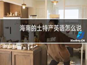 海南的土特产英语怎么说