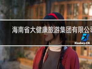 海南省大健康旅游集团有限公司