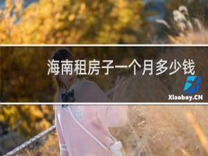 海南租房子一个月多少钱