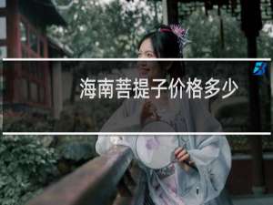 海南菩提子价格多少