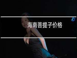 海南菩提子价格