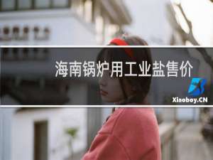 海南锅炉用工业盐售价