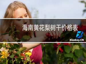 海南黄花梨树干价格表