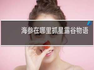 海参在哪里抓星露谷物语