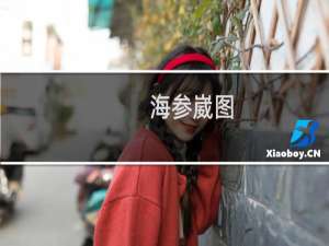 海参崴图