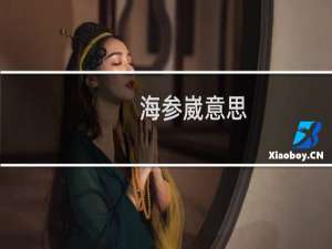 海参崴意思