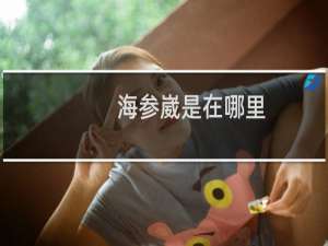 海参崴是在哪里