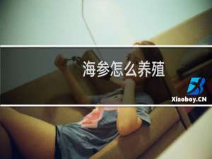 海参怎么养殖