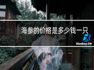 海参的价格是多少钱一只