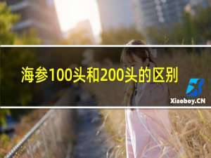 海参100头和200头的区别