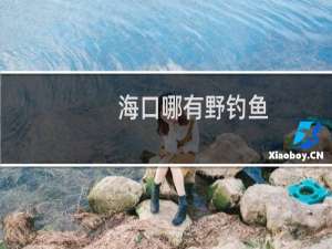 海口哪有野钓鱼