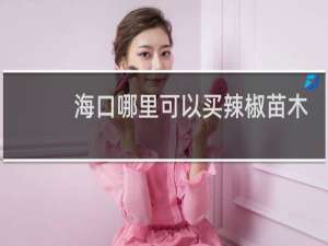 海口哪里可以买辣椒苗木