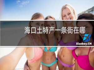 海口土特产一条街在哪