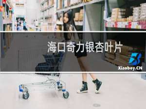 海口奇力银杏叶片