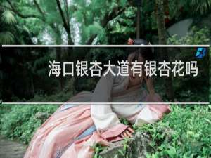 海口银杏大道有银杏花吗